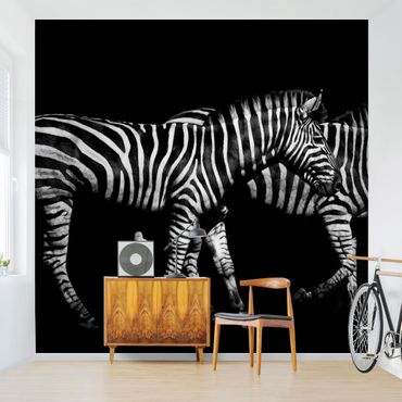 Carta da parati - Zebra al buio