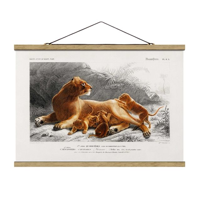 Foto su tessuto da parete con bastone - Vintage Consiglio Leonessa e Lion Cubs - Orizzontale 2:3