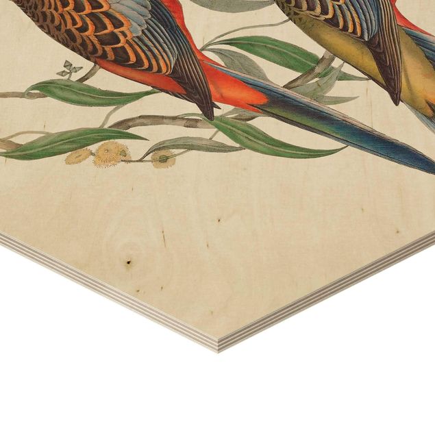 Esagono in legno - Tropical Parrot II