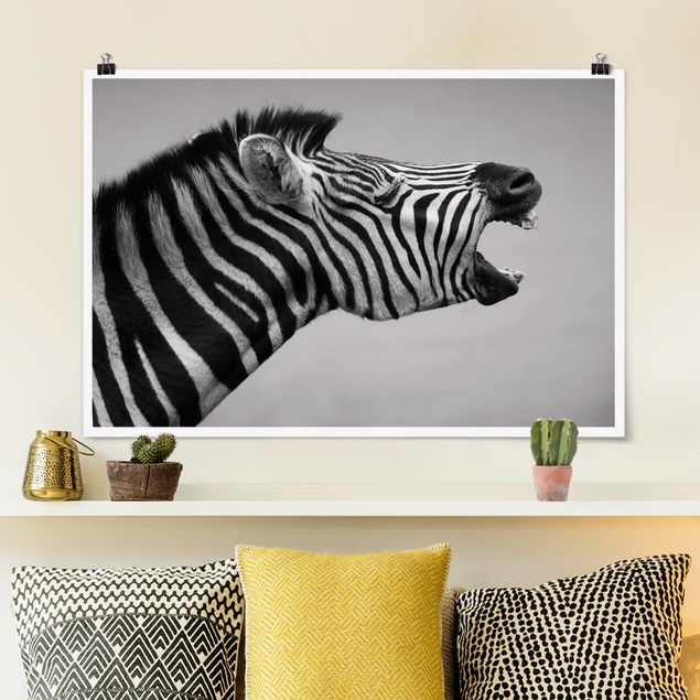 quadri con animali Zebra ruggente ll