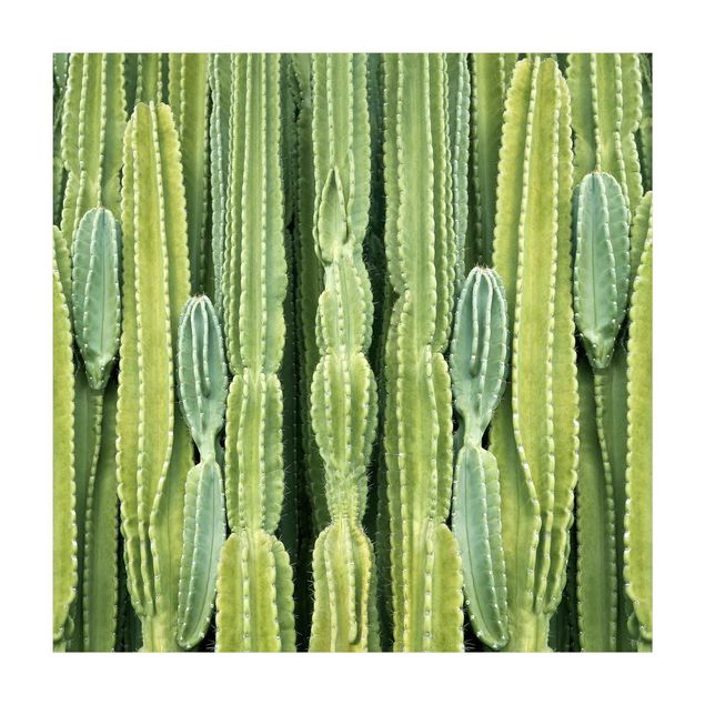 Tappeto bagno verde Muro di cactus