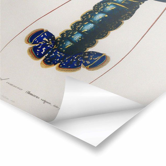 Poster - Vintage Blue Board Lobster - Verticale 3:2