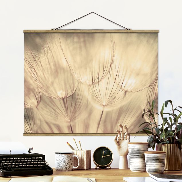 Foto su tessuto da parete con bastone - Dandelions close-up in tonalità seppia casalinga - Orizzontale 3:4