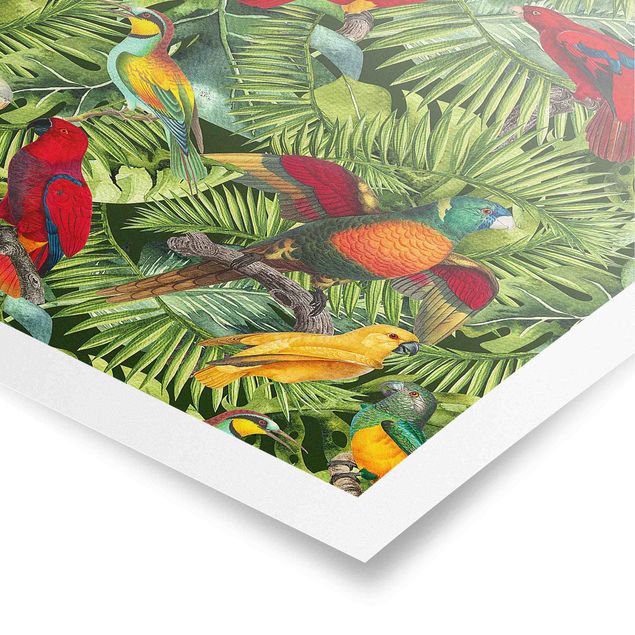 Poster - Colorato collage - Parrot In The Jungle - Verticale 3:2