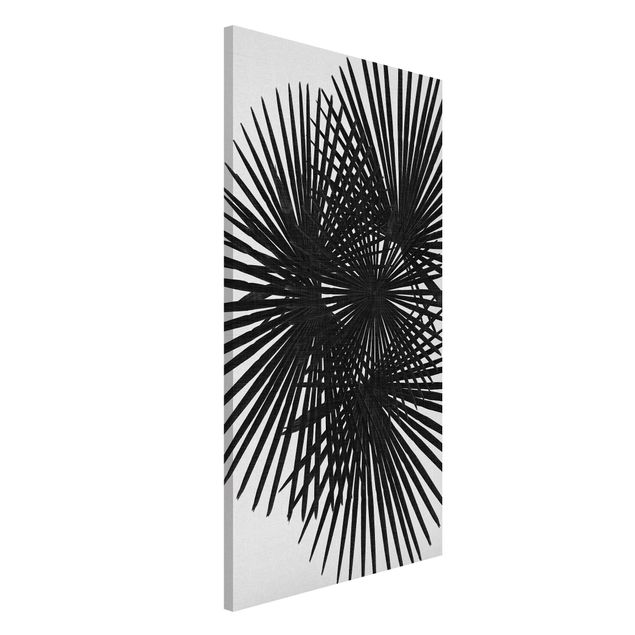 Lavagna magnetica per ufficio Foglie di palma in bianco e nero