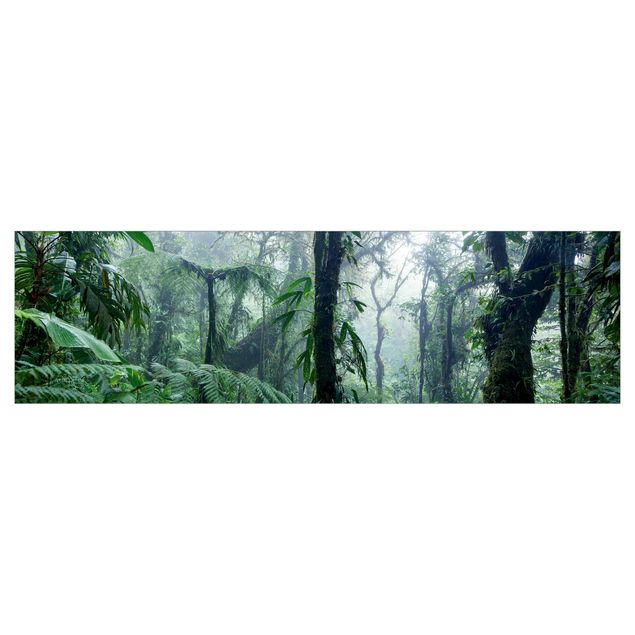 Rivestimento cucina verde Foresta nuvolosa di Monteverde