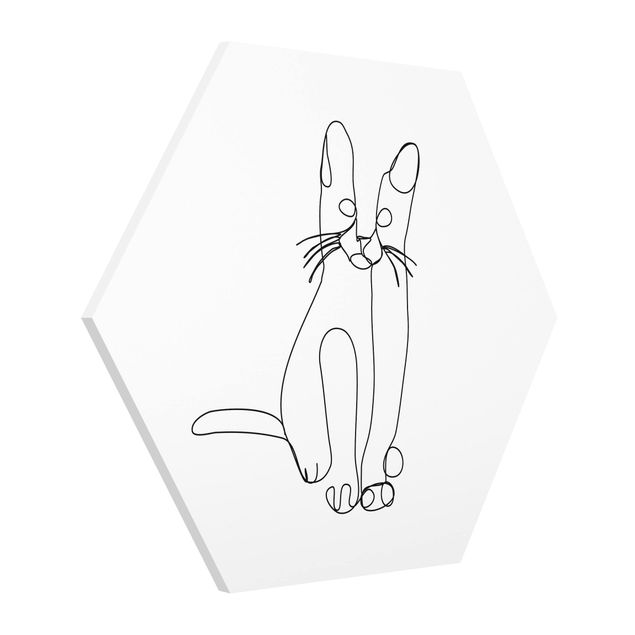 Esagono in forex - Cat Line Art