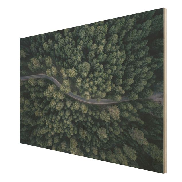 Quadro in legno - Veduta aerea - Forest Road From The Top - Orizzontale 3:2