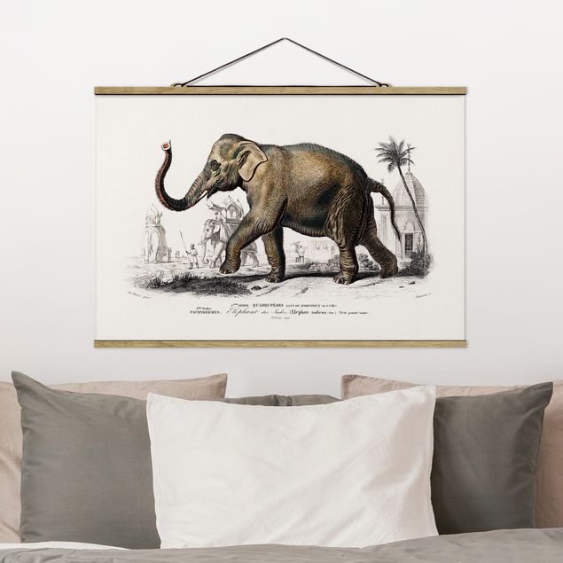 quadri con animali Bacheca vintage Elefante