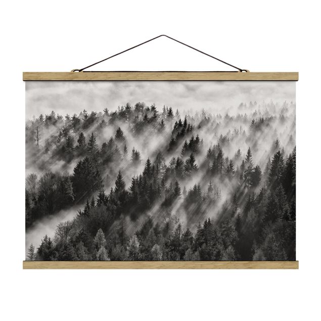 Foto su tessuto da parete con bastone - Raggi Luce nella foresta di conifere - Orizzontale 2:3