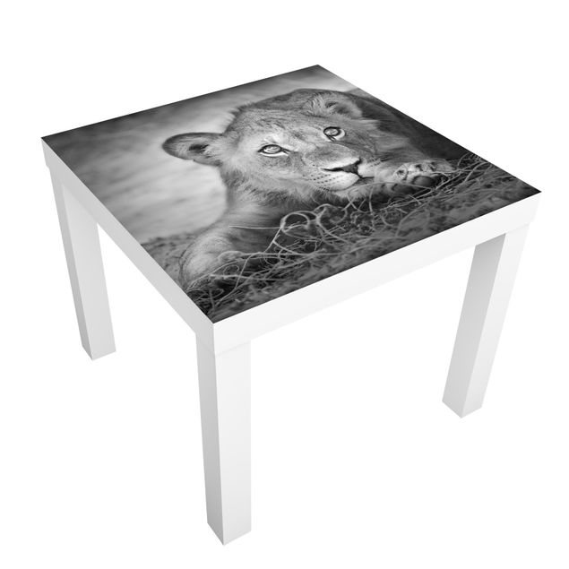 Carta adesiva per mobili IKEA - Lack Tavolino Lurking Lionbaby