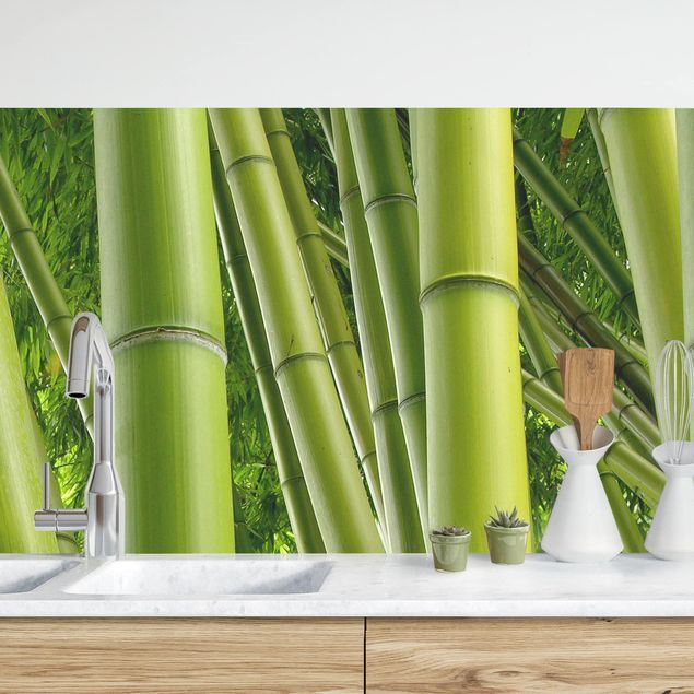 Rivestimenti cucina pannello Alberi di bambù n.1