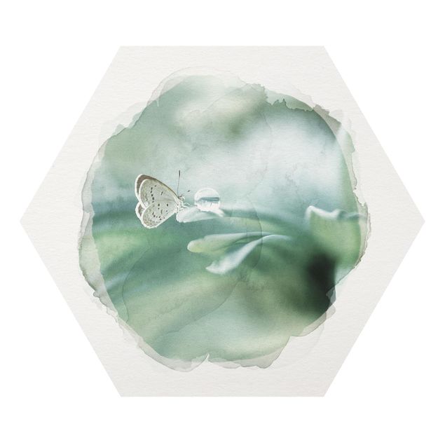 Esagono in forex - Acquerelli - Farfalla E gocce di rugiada In Pastel Verde