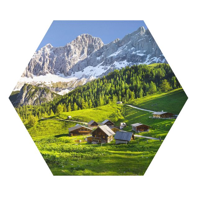 Esagono in forex - Stiria Alpine Prato