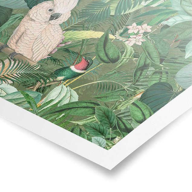Poster - Vintage Collage - Cockatoo E Hummingbird - Orizzontale 3:4