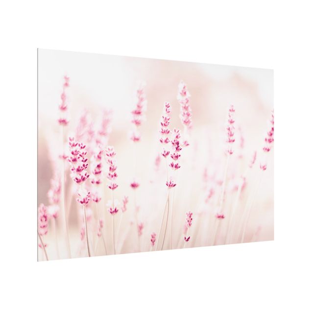 Paraschizzi in vetro - Lavanda delicata rosata - Formato orizzontale 4:3