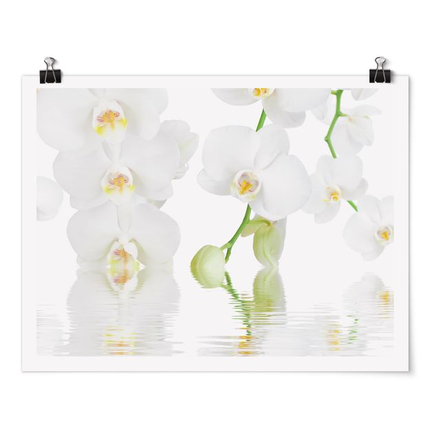 Poster - Wellness Orchid - White Orchid - Orizzontale 3:4