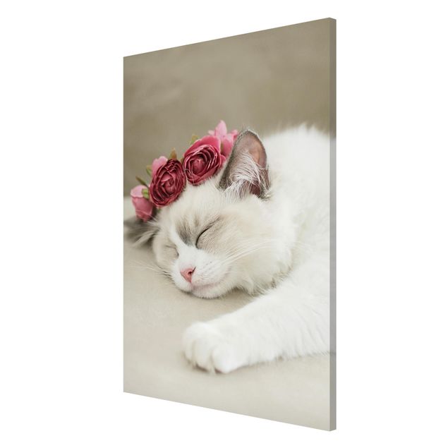 Lavagna magnetica - Gatto che dorme con rose