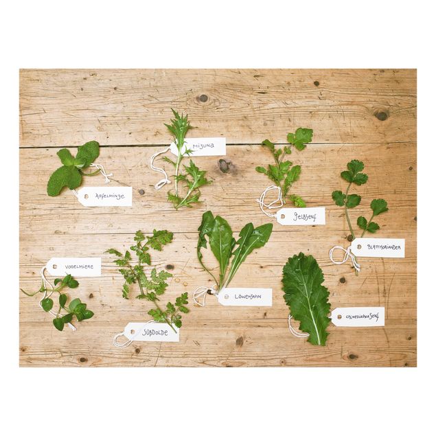 Paraschizzi in vetro - Herbs With Labeling