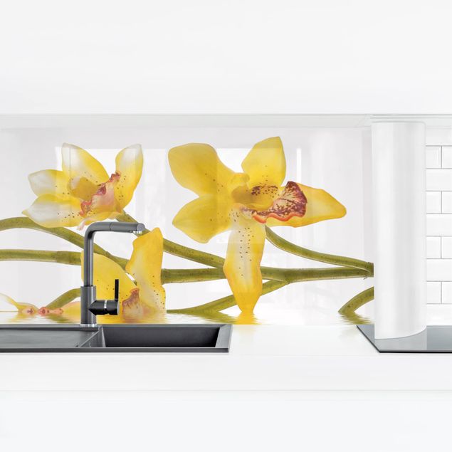 rivestimenti moderni cucina Acque di orchidee color zafferano