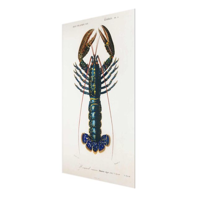 Quadro in vetro - Vintage Blue Board Lobster - Orizzontale 2:3