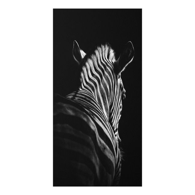 Quadro in forex - Scuro silhouette zebra - Verticale 1:2