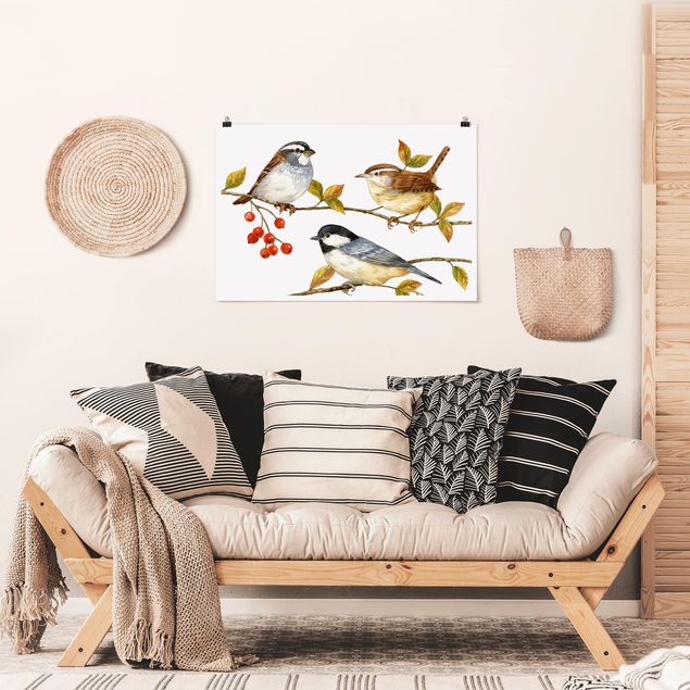 Poster vintage Uccelli e bacche - Cinciallegra