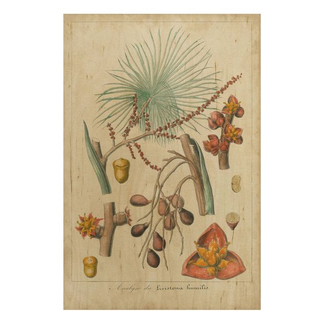 Stampa su legno - Consiglio Vintage Exotic Palms III - Verticale 3:2
