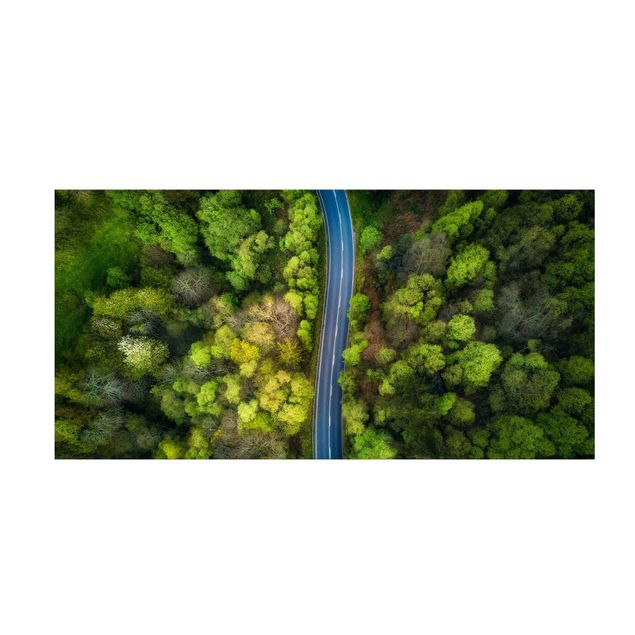 Tappeto bagno verde Vista aerea - Strada asfaltata nella foresta