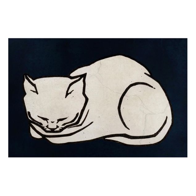 Lavagna magnetica per ufficio Illustrazione di gatto addormentato