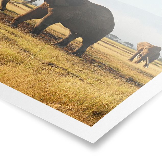 Poster - Elefanti Di Fronte Al Kilimanjaro in Kenya - Verticale 3:2