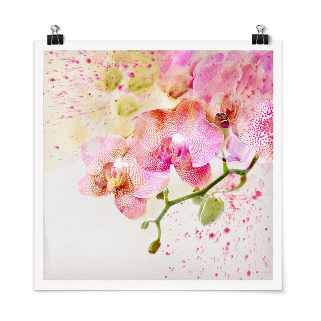 Poster - Acquerello Fiori Orchidee - Quadrato 1:1