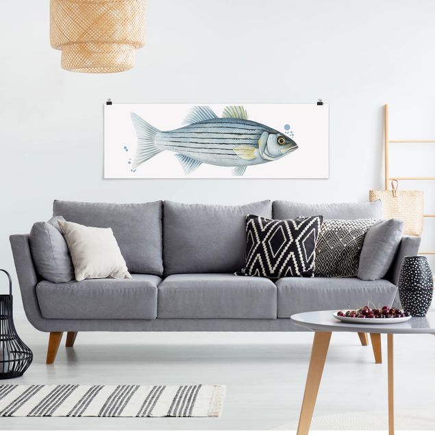 Poster acquerello Pesca a colori - Persico bianco