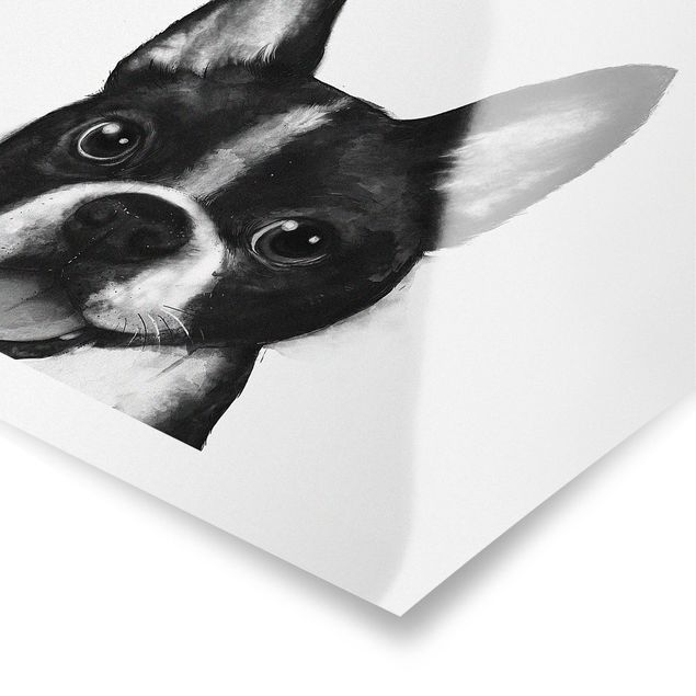 Poster - Illustrazione Dog Boston Monochrome Pittura - Orizzontale 3:4