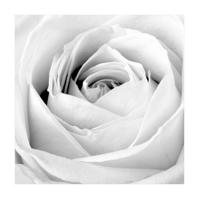 Tappeto bianco e nero moderno Rosa ravvicinata