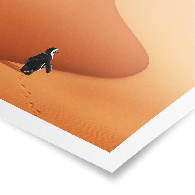 Poster - Deserto Con Penguin - Verticale 3:2