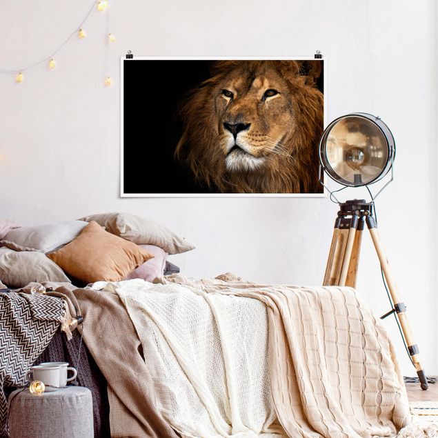 Poster - Lions sguardo - Orizzontale 2:3