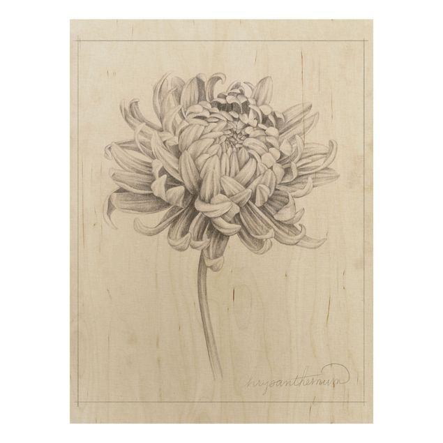 Stampa su legno - Botanical Study I Chrysanthemum - Verticale 4:3