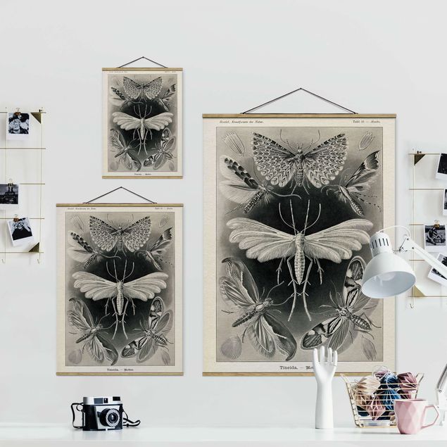 Foto su tessuto da parete con bastone - Vintage Consiglio falene e farfalle - Verticale 4:3