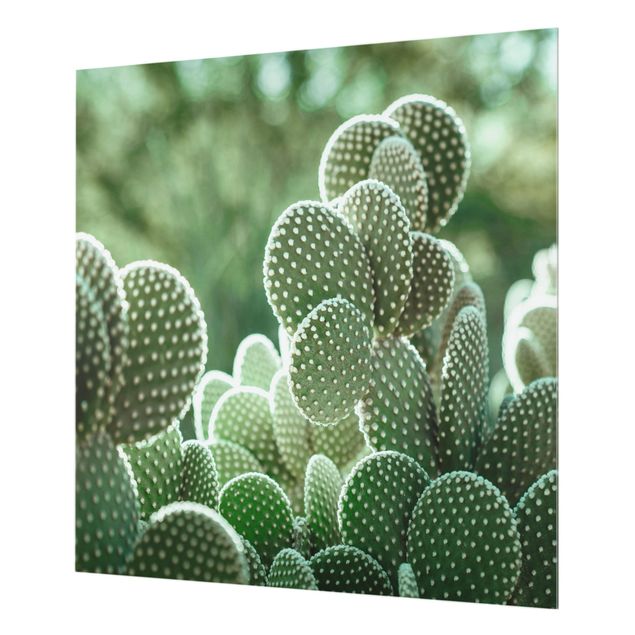 Paraschizzi in vetro - Cactus - Quadrato 1:1