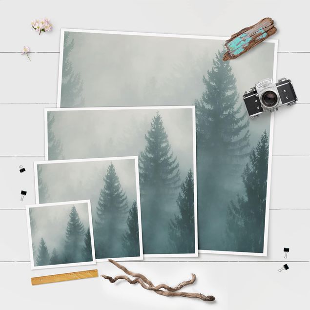 Poster - Foresta di conifere In Nebbia - Quadrato 1:1