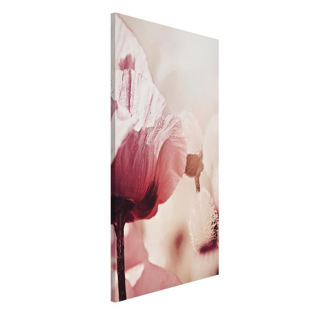 Lavagna magnetica per ufficio Fiore di papavero rosa pallido con gocce d'acqua