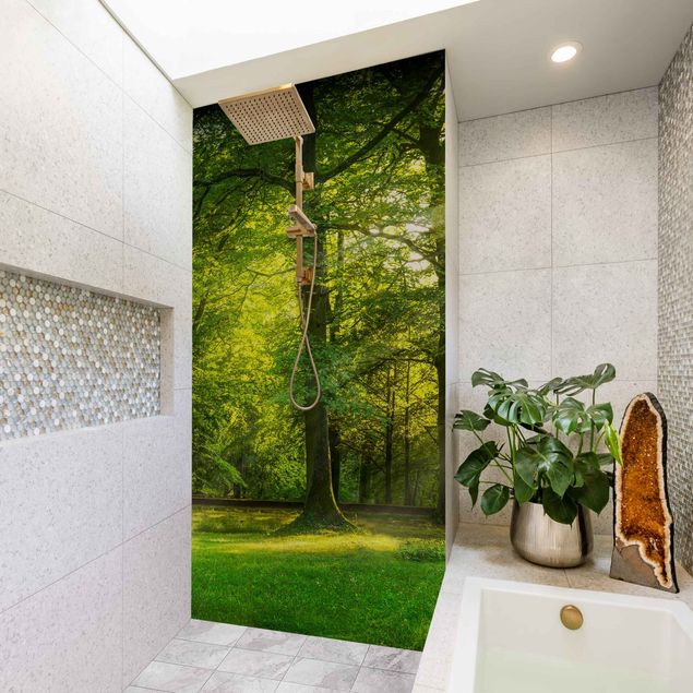 Rivestimenti per doccia verde Passeggiata nel bosco