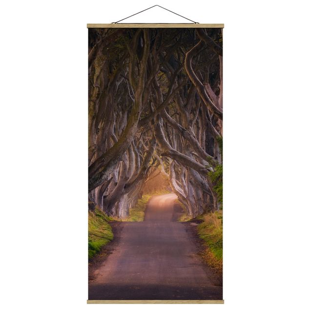 Quadro su tessuto con stecche per poster - Tunnel dagli alberi - Verticale 2:1