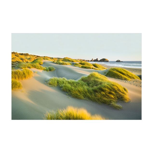 Tappeto verde Dune ed erbe sul mare