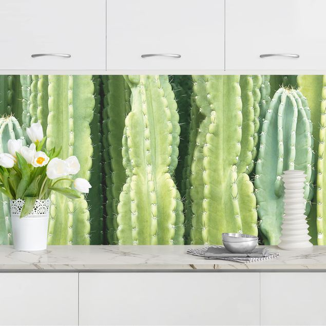 Rivestimenti cucina pannello Muro di cactus
