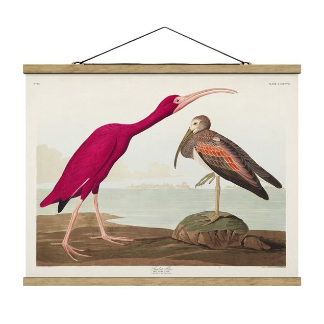 Foto su tessuto da parete con bastone - Vintage Consiglio Rosso Ibis - Orizzontale 3:4