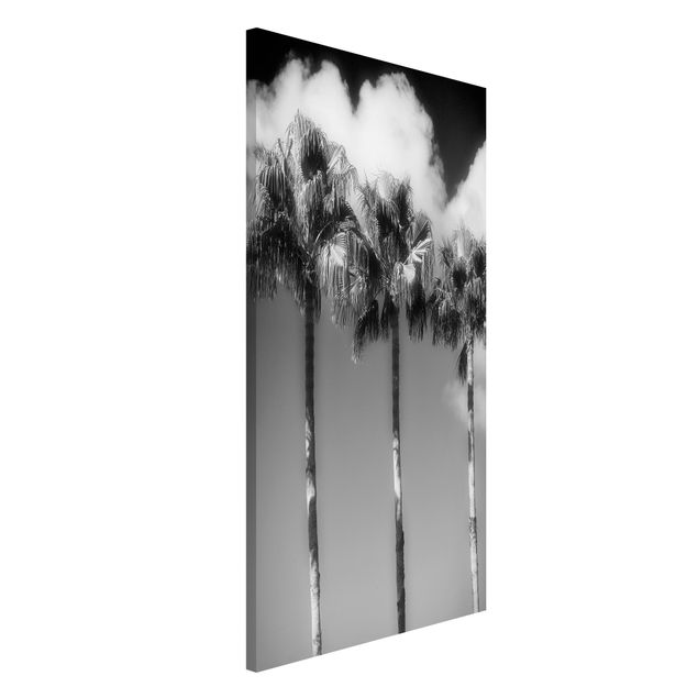 Lavagna magnetica per ufficio Palme contro il cielo in bianco e nero