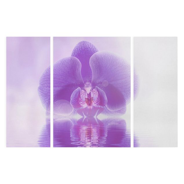 Stampa su tela 3 parti - Purple Orchid On Water - Trittico