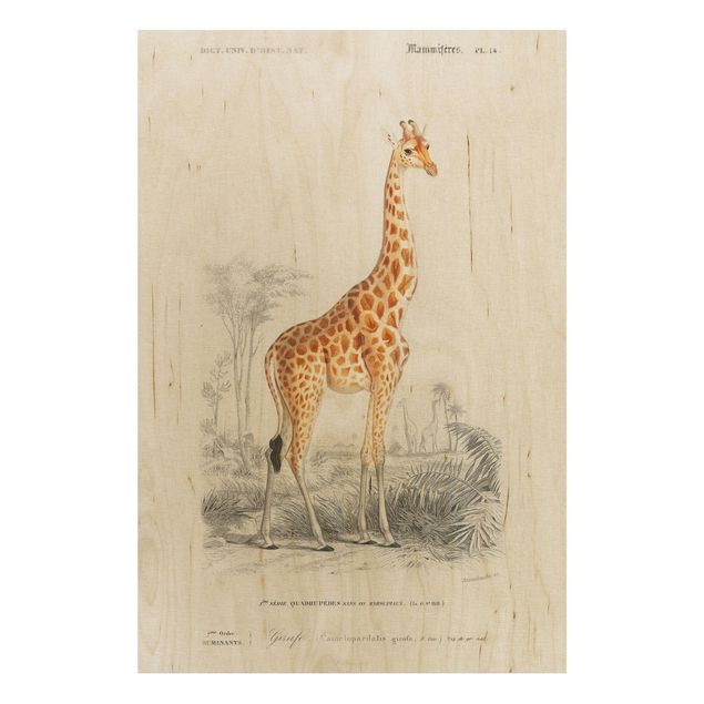 Stampa su legno - Vintage Consiglio Giraffe - Verticale 3:2